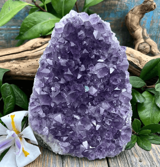 Amethyst Standing Cluster (1kg) - Spirit and Stardust