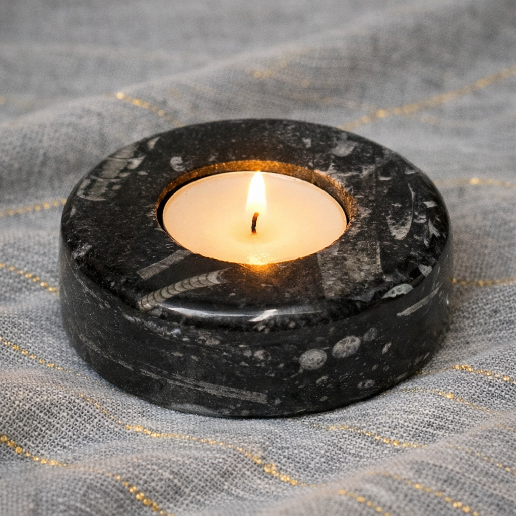 Orthoceras Fossils Candle Holder