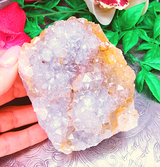 Apophylite Cluster #V15 (451 grams)