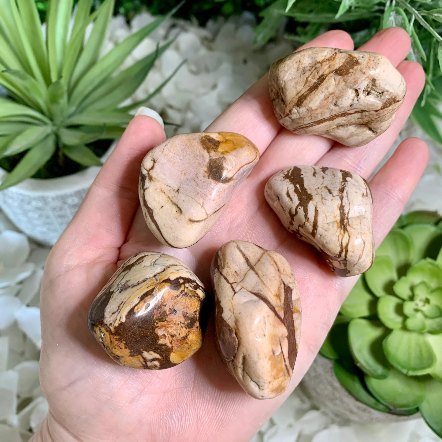 Brown Zebra Jasper: The Stone of Money