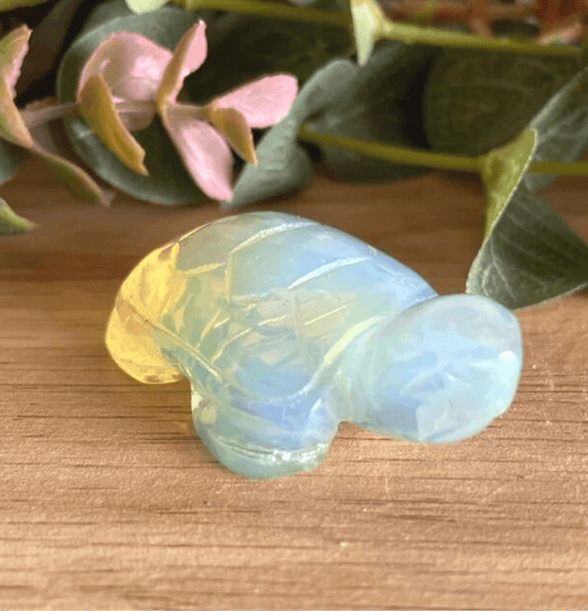 Carved Crystal Turtles - Spirit and Stardust