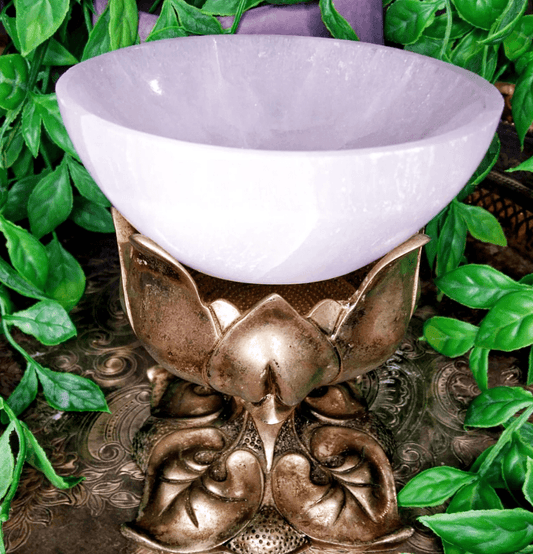 Beautifully Carved and Polished White Selenite Bowl - Spirit and Stardust