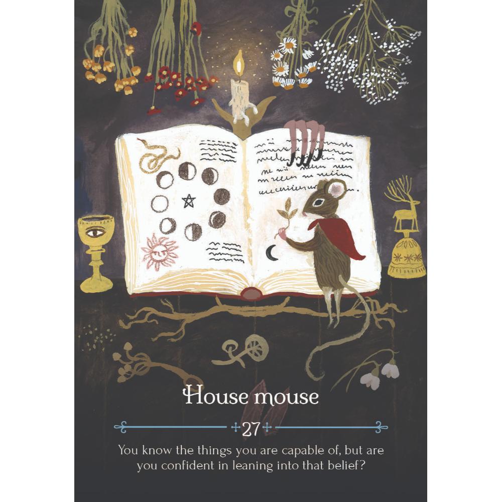 Seasons of the Witch Imbolic Oracle Cards