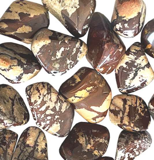 Brown Zebra Jasper: The Stone of Money