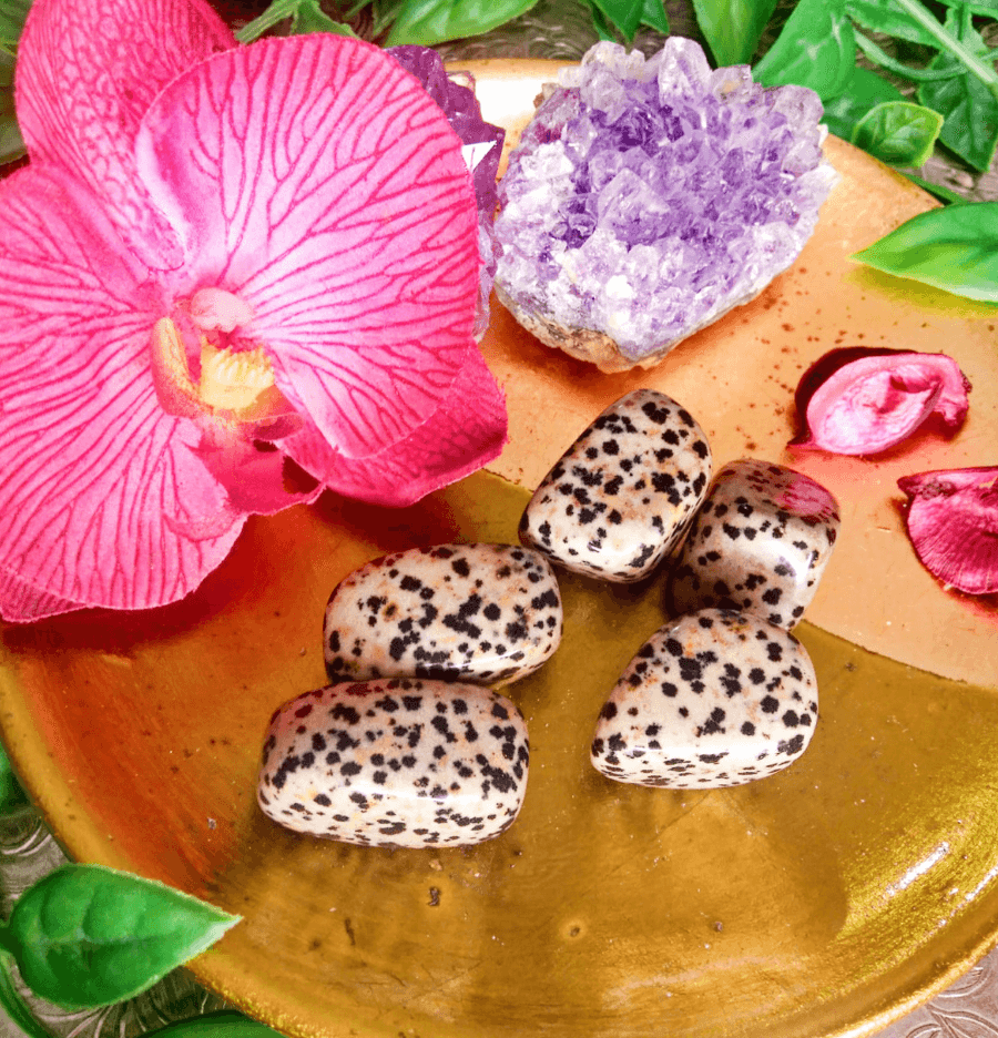 Dalmatian Jasper: The Stone of Joy - Spirit and Stardust