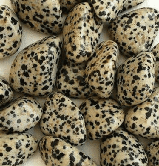 Dalmatian Jasper: The Stone of Joy - Spirit and Stardust