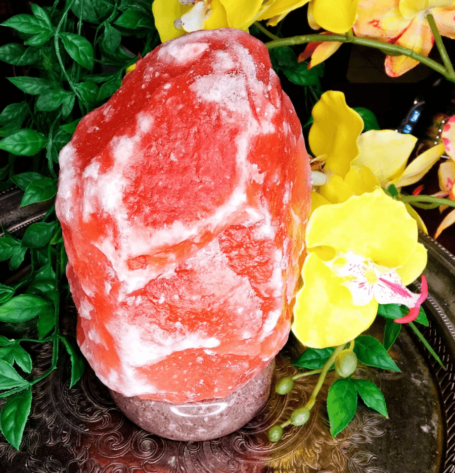 Pink Himalayan Salt Lamp on Polished Stone Base - Spirit and Stardust