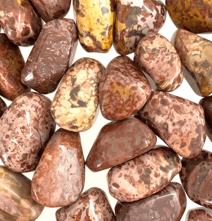 Leopard Skin Jasper: The Stone of Personal Growth - Spirit and Stardust
