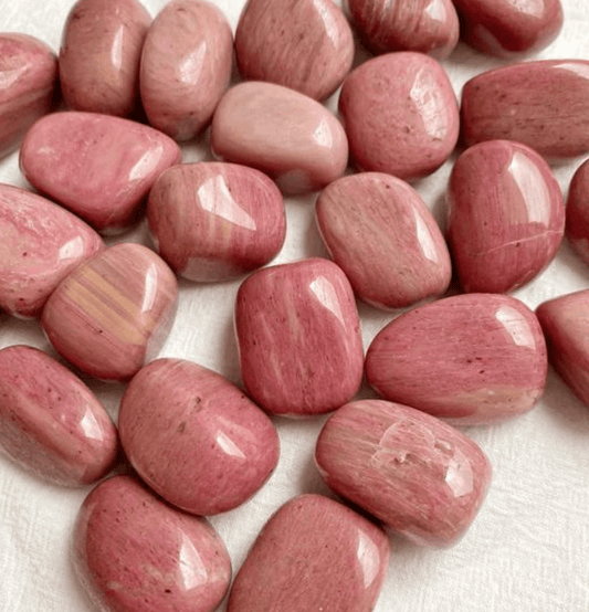 Petrified Wood: The Stone of Solutions - Spirit and Stardust