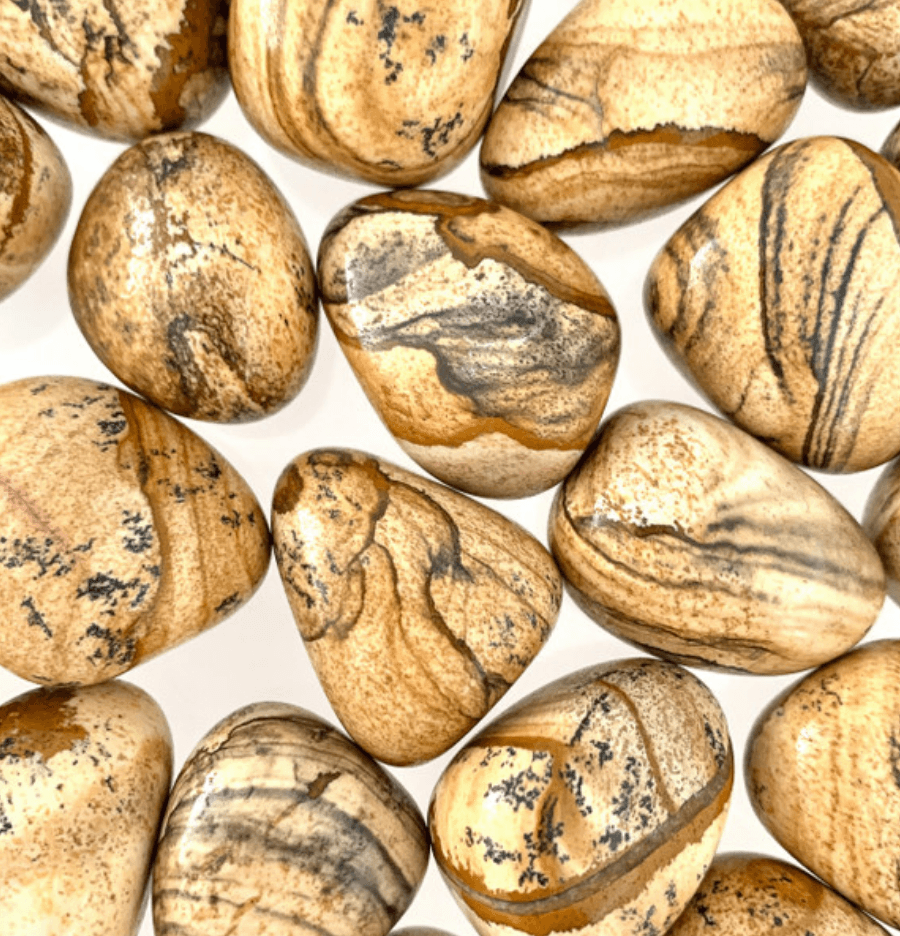 Picture Jasper: The Rainbow Bridge - Spirit and Stardust