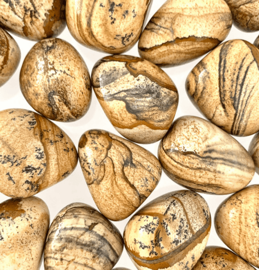 Picture Jasper: The Rainbow Bridge - Spirit and Stardust