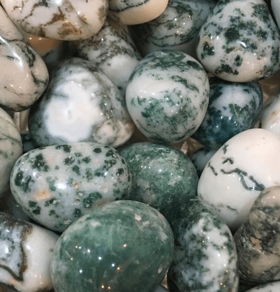 Tree Agate: The Personal Talisman - Spirit and Stardust
