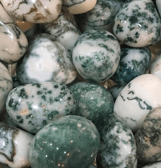 Tree Agate: The Personal Talisman - Spirit and Stardust