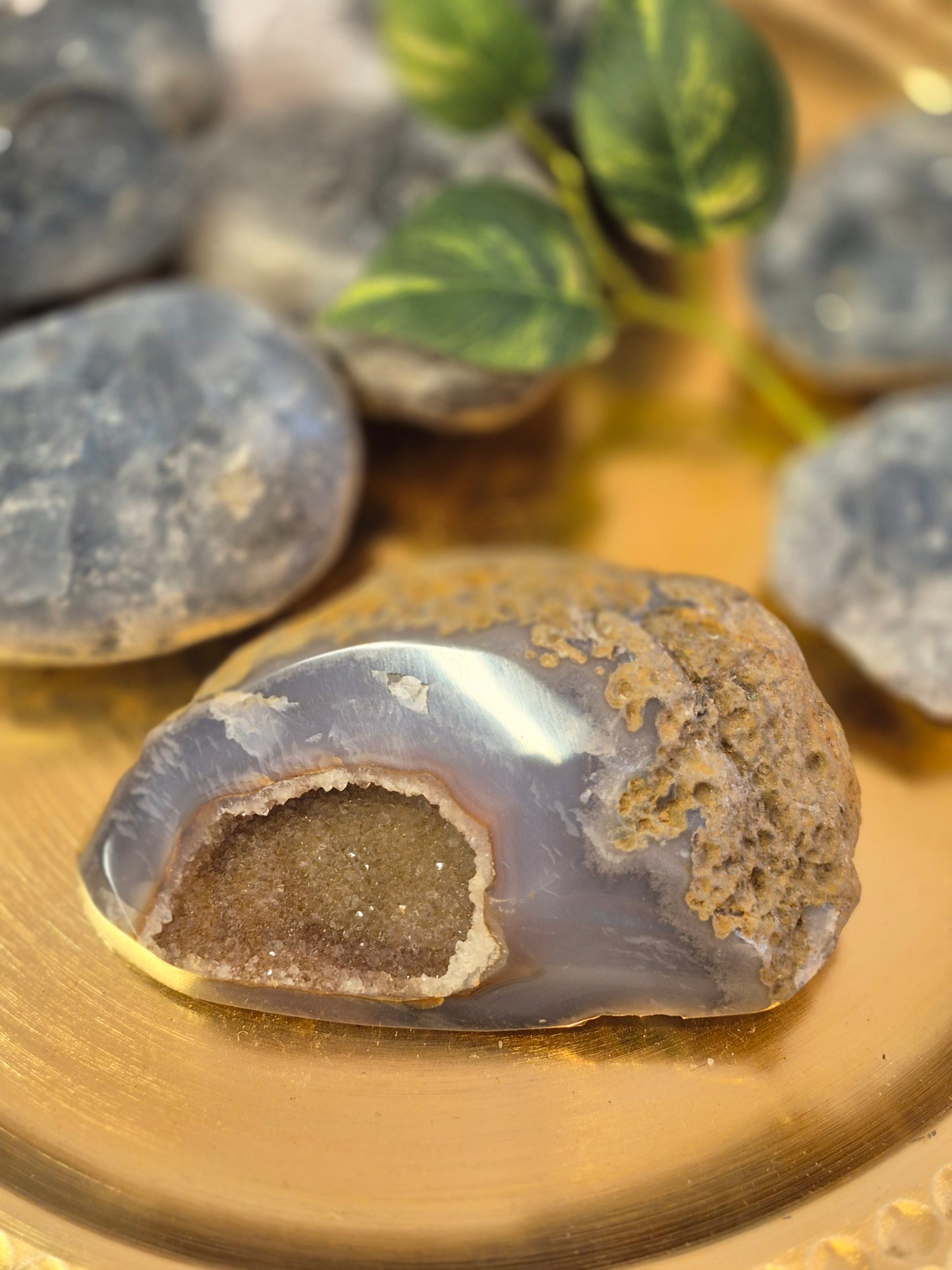 Amethyst Geode Head (AGH315)