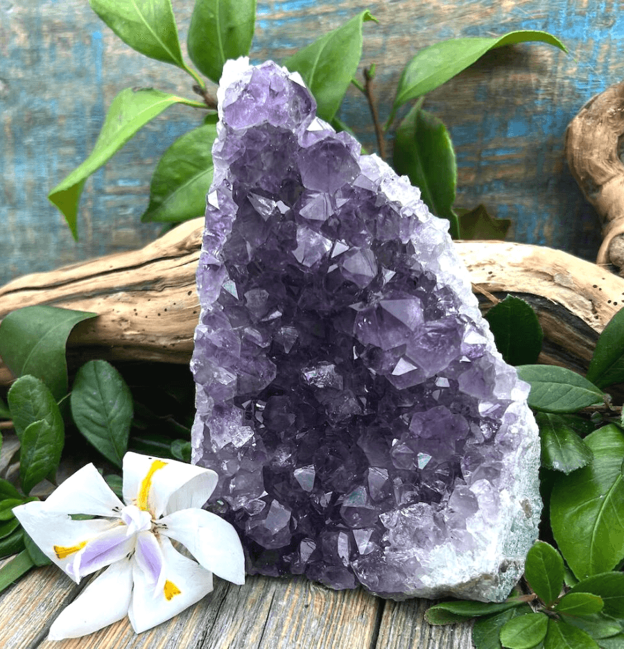 Amethyst Standing Cluster (1kg) - Spirit and Stardust
