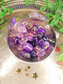 Amethyst Rune Set