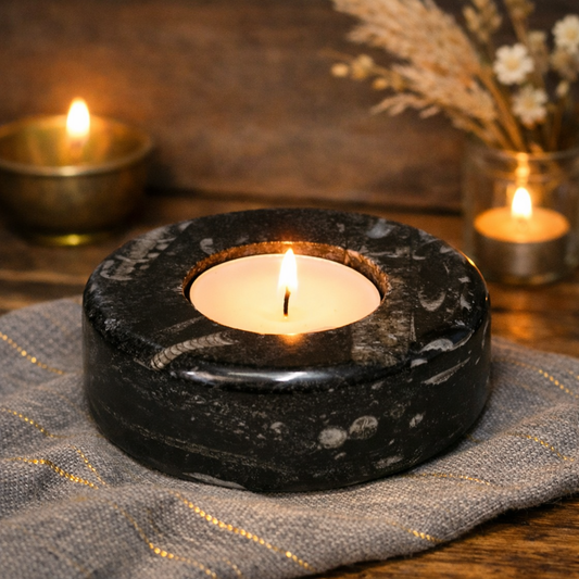 Orthoceras Fossils Candle Holder