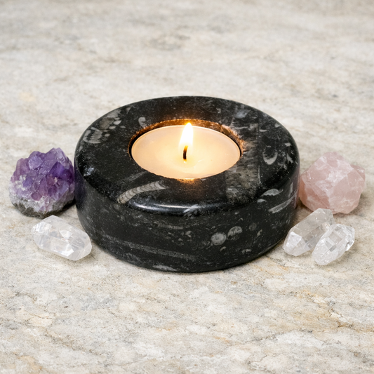 Orthoceras Fossils Candle Holder