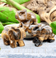 Carved Crystal Elephants - Spirit and Stardust