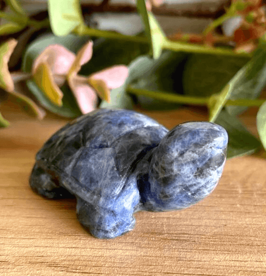 Carved Crystal Turtles - Spirit and Stardust