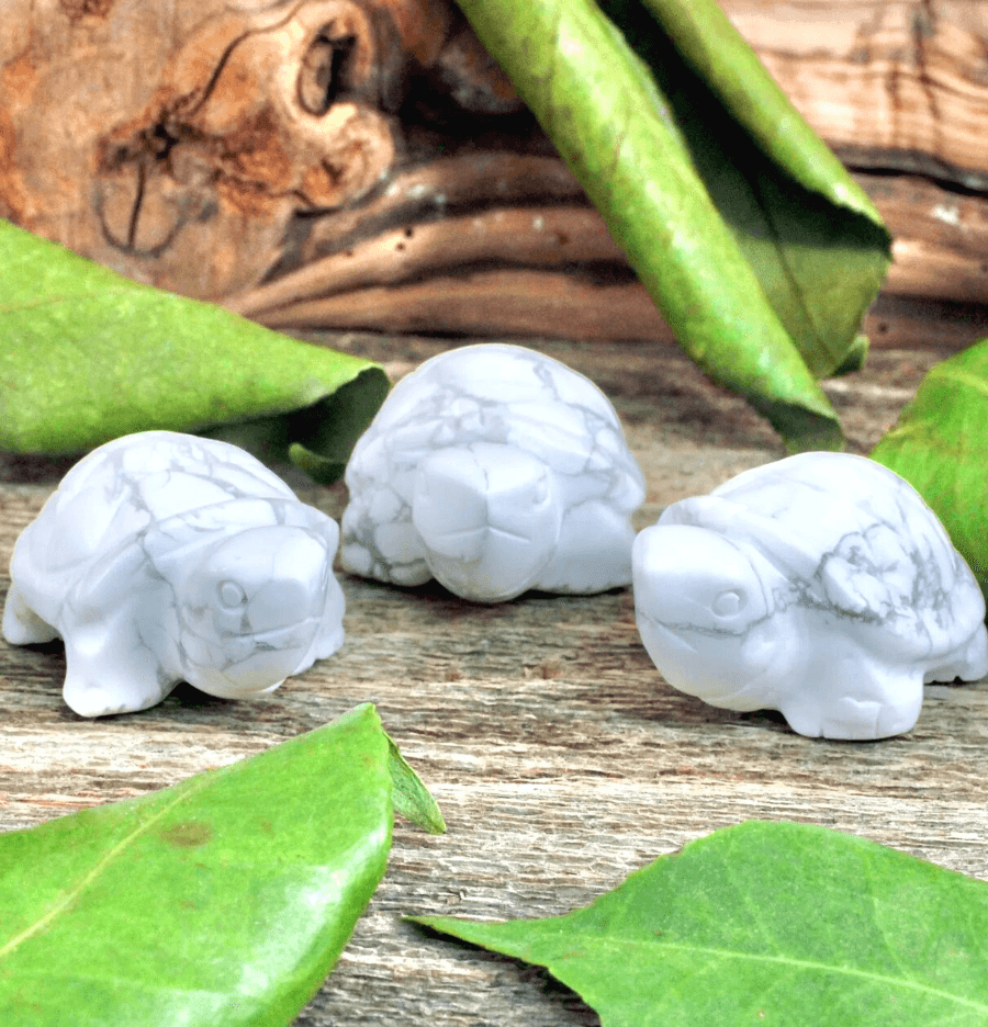 Carved Crystal Turtles - Spirit and Stardust