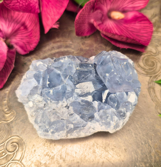 Celestite Cluster #1127