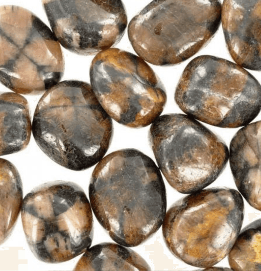Chiastolite - The Stone of Curse Protection - Spirit and Stardust
