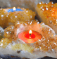 Citrine Druze Crystal Candle Holder (Raw) - Spirit and Stardust