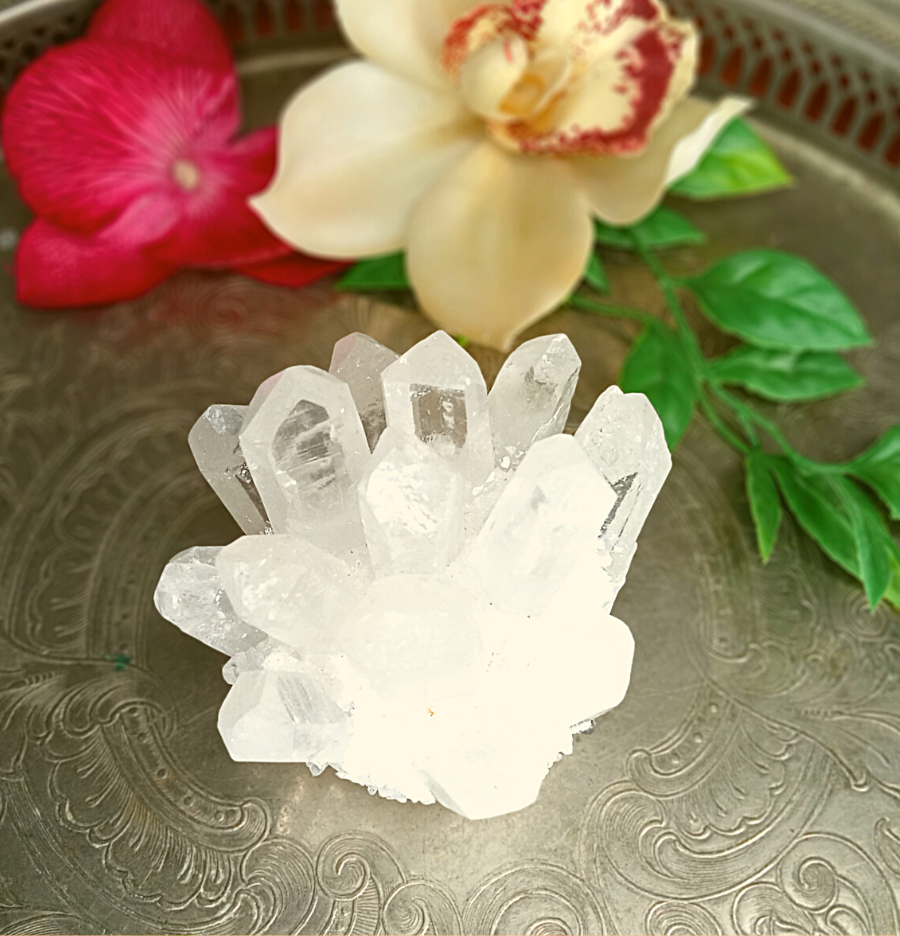 Clear Quartz Cluster Seed