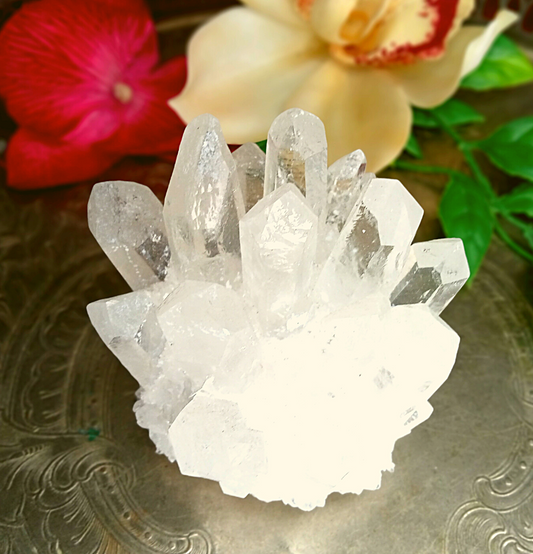 Clear Quartz Cluster Seed