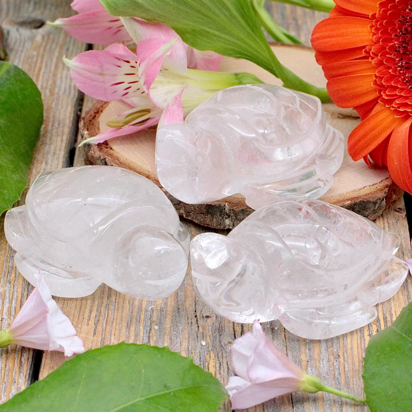 Carved Crystal Turtles (Various)