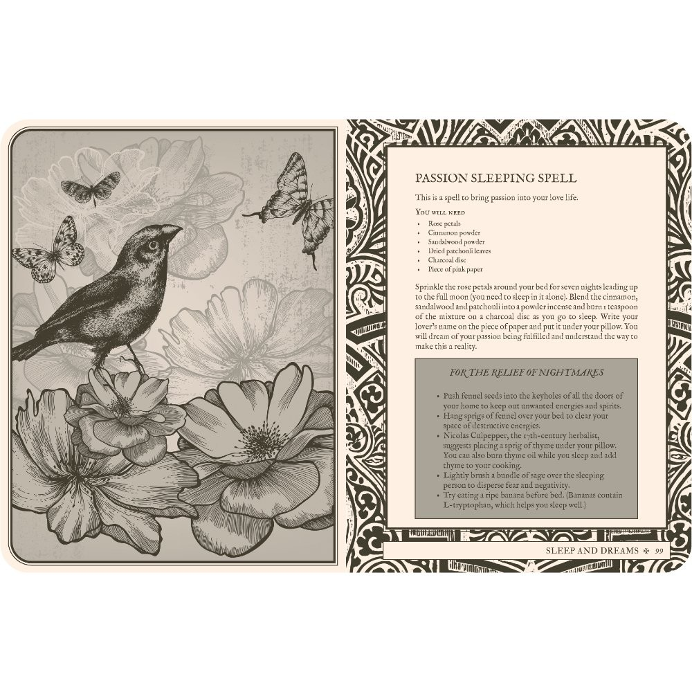 Lost Book of Spells (Fiona Horne)
