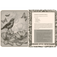 Lost Book of Spells (Fiona Horne)