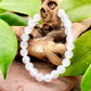 Selenite Bracelet For Purification (8mm)