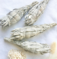 White Grandfather Sage Smudge Stick