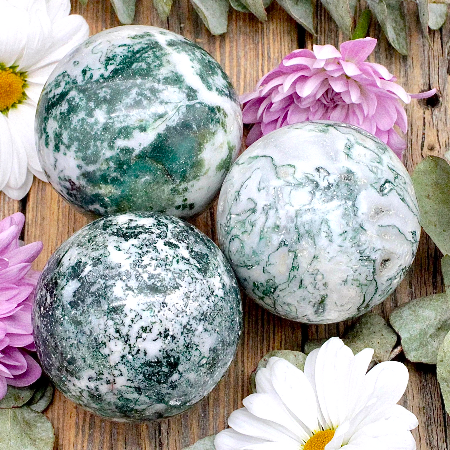 Tree Agate Sphere