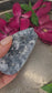 Celestite Cluster #1126