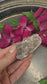 Pink Amethyst Cluster #71