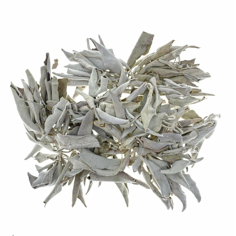Australian Grandfather Sage Loose (30 grams)