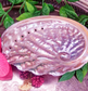 Abalone Shell - Smudging Bowl