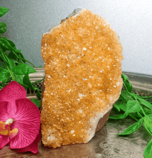 Raw Citrine Standing Cluster (1kg) - Spirit and Stardust