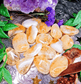 Citrine: The Money Stone (Heat Treated) - Spirit and Stardust