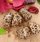 Dalmatian Jasper: The Stone of Joy - Spirit and Stardust