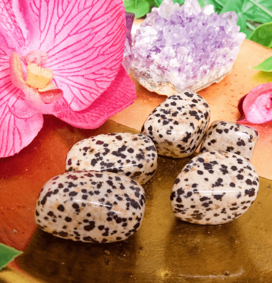 Dalmatian Jasper: The Stone of Joy - Spirit and Stardust