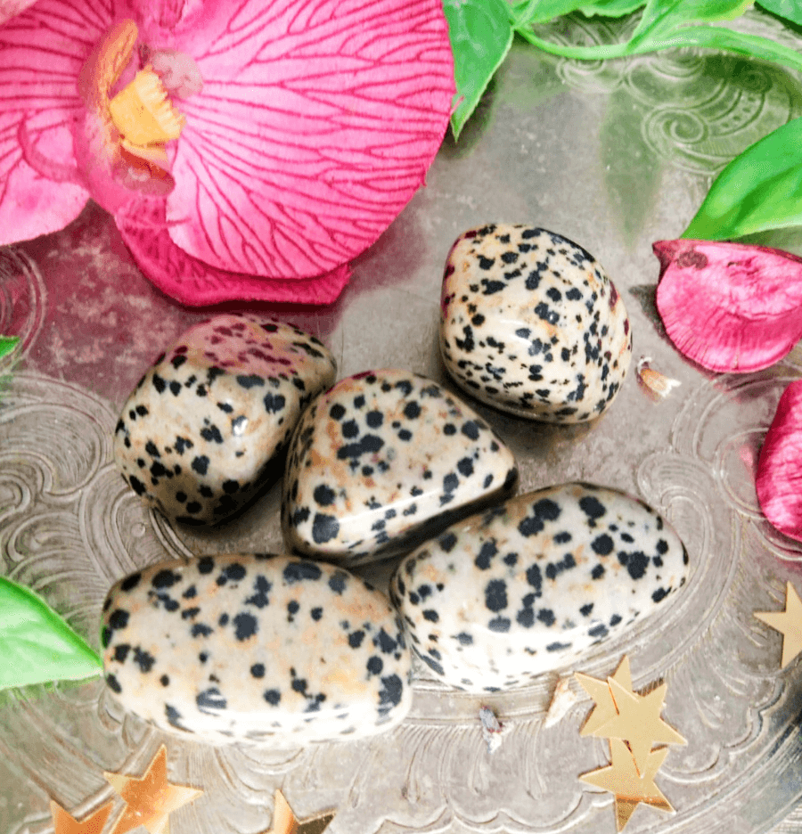 Dalmatian Jasper: The Stone of Joy - Spirit and Stardust