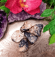 Dendritic Agate: The Seven Chakra Activator - Spirit and Stardust