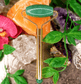 Jade Crystal Facial Roller - Spirit and Stardust