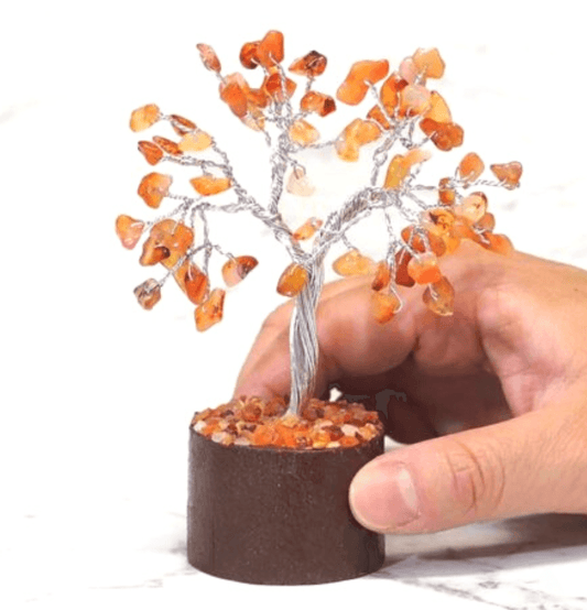 Carnelian Mini Gemstone Tree With Timber Base - Spirit and Stardust