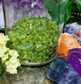 Peridot Crystal Chips - Spirit and Stardust