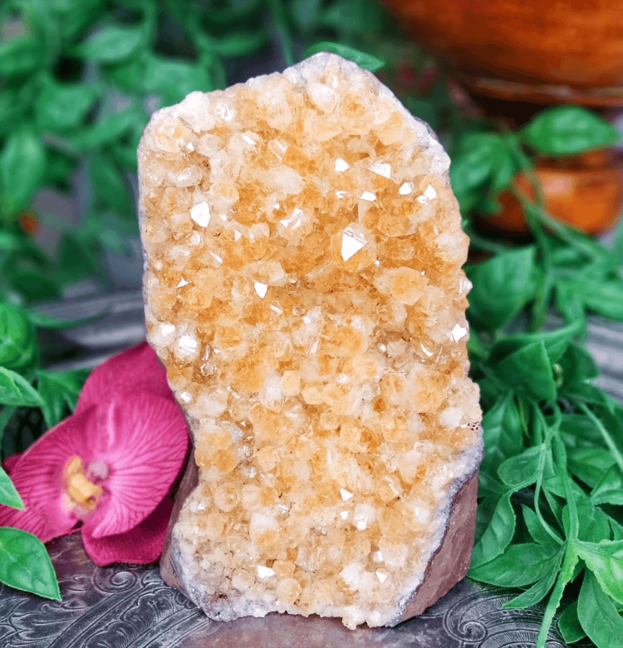 Raw Citrine Standing Cluster (1kg) - Spirit and Stardust